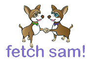 Fetch Sam!